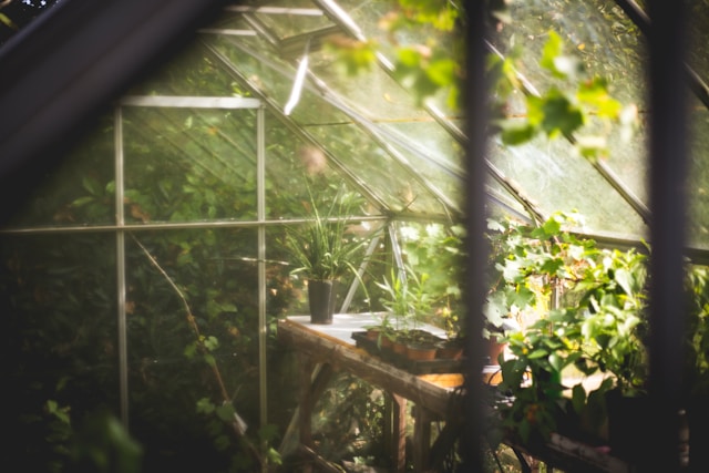 Gartenpflege